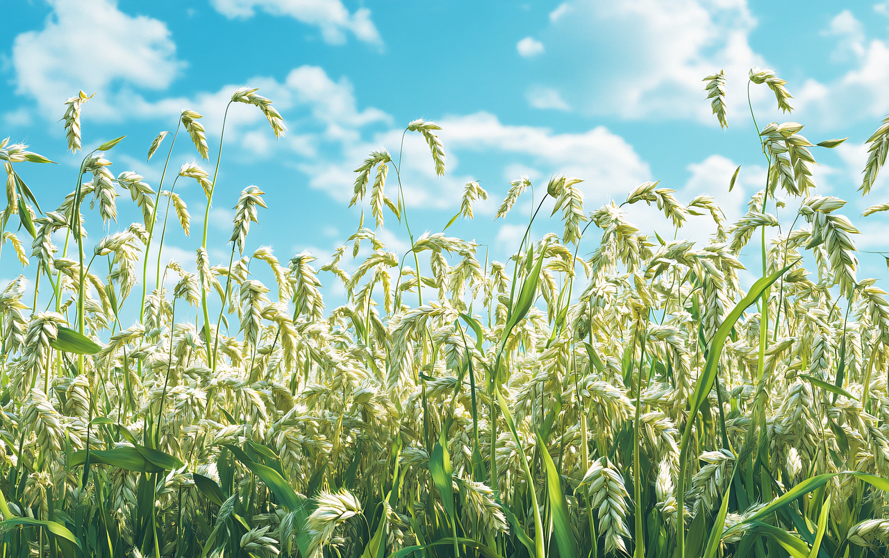 Bio-Insecticides: A Safer and Smarter Way to Protect Crops