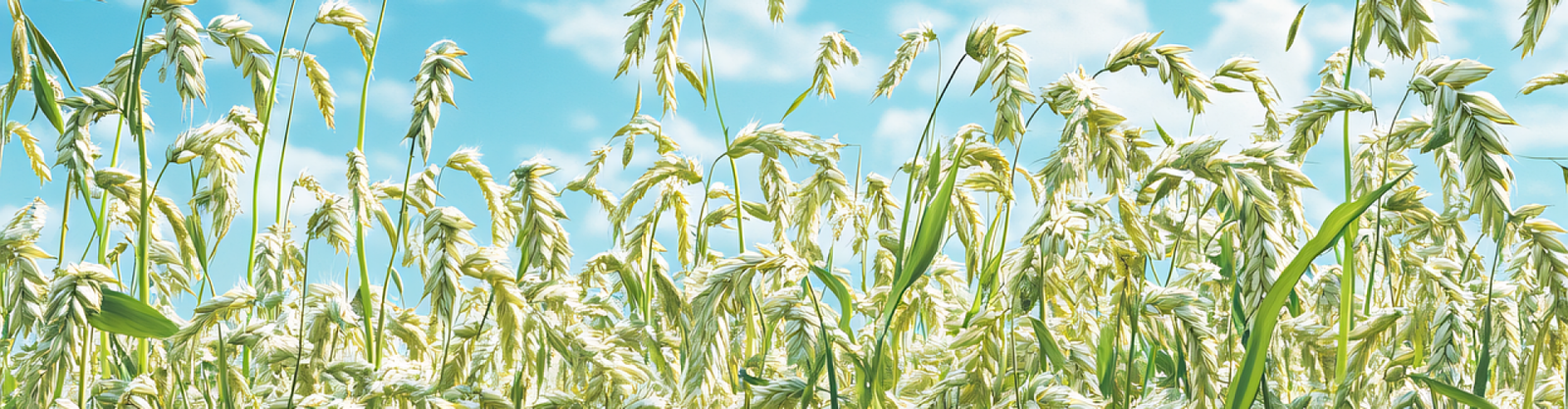 ai-generated-9428111_1280